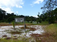 P1040804