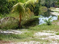 P1040807