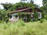 P1040796