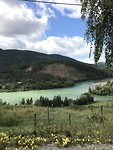 Groene rivier