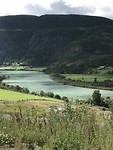 Groene rivier