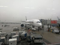 IMG_20190315_081643