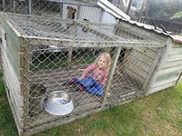 IMG_20190324_164722