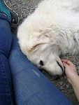 IMG_20190324_163020
