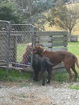 IMG_20190324_163010