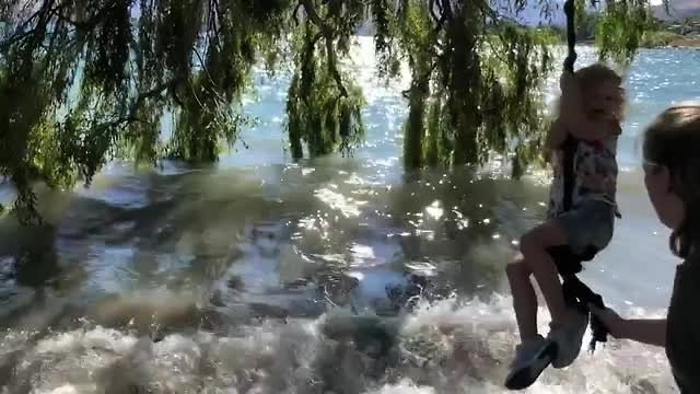 Swinging on a tree... or not!