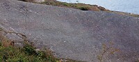 Rotstekening