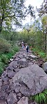 Preikestolen