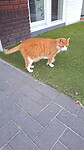 Riddick staat ons op te wachten