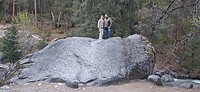 1000031550
