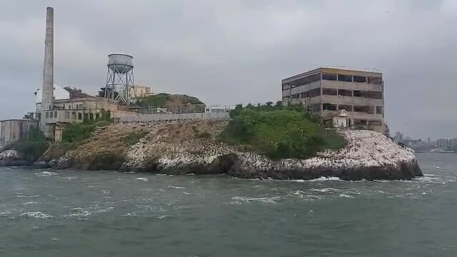 Alcatraz