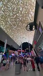 Freemont street zipline