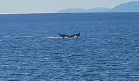 IMG-20230915-WA0007