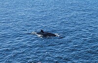 IMG-20230915-WA0005