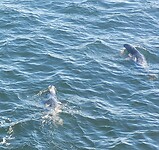 IMG-20230915-WA0004