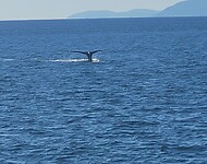IMG-20230915-WA0003