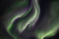 IMG_1831