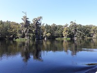 Prachtige bomen