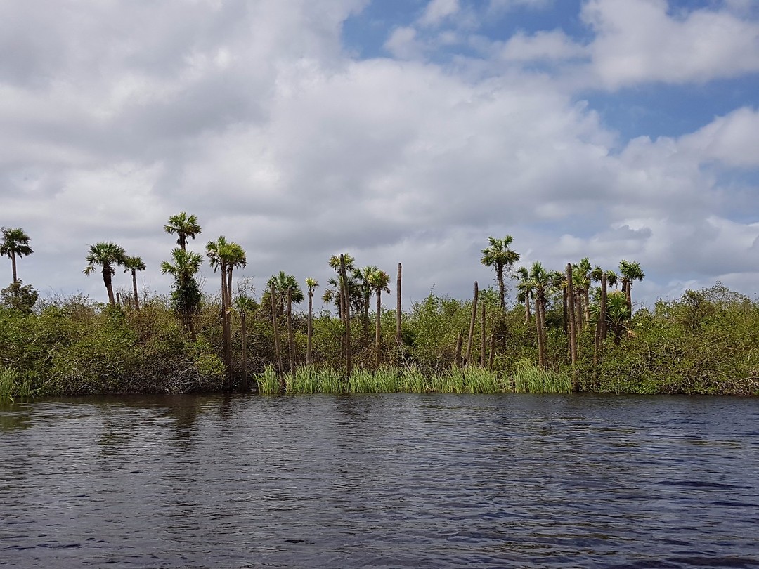 Everglades
