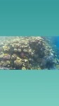 VID-20221028-WA0000