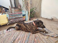 IMG_20230429_171829