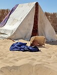 IMG_20230810_155048