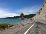 Tiki touring Cape Palliser Light House, zonder blauw doek!
