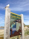 Castle Point