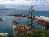 De haven, Napier