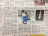 Lekker even niks doen en krantje lezen! Buitenland pagina en wereldoorlogen volgen op pagina 2!