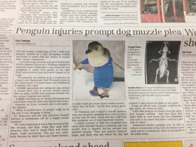 Lekker even niks doen en krantje lezen! Buitenland pagina en wereldoorlogen volgen op pagina 2!