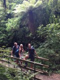 En de Manawatu Gorge track, tomtiedom.....