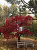 Heerlijke thermale baden... en bizarre herfst kleuren, Hamner Springs