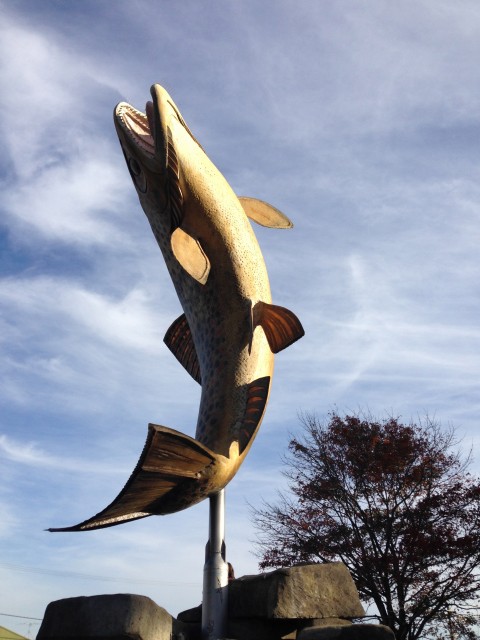 The brown trout, 5 Meter hoge mascotte bij binnenkomst in Gore.