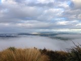 View above the clouds from East Peak, Croydon Bush