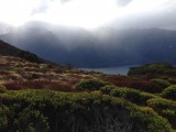 Kepler Track, South Fjord in the mist!