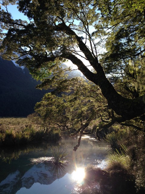 Milford Highway, The mirror lakes