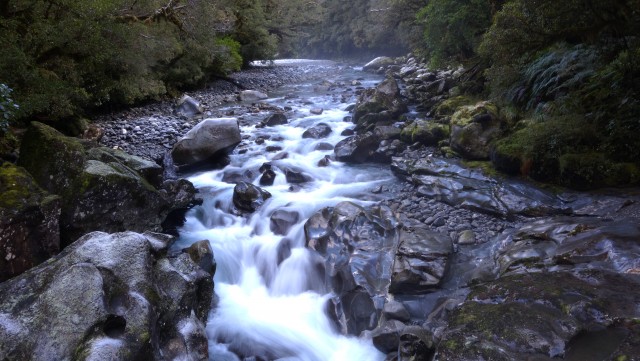 Milford Highway, geweldig uitje!