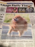 De wereldoorlogen volgen op pagina 10 pas. Eerst de belangrijke dingen!