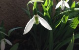 Spring is in the air!
