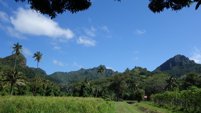 Ontdekkingstocht op de scooters @ Backland Rarotonga