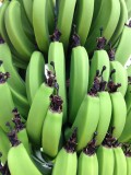 En bananen plantages...