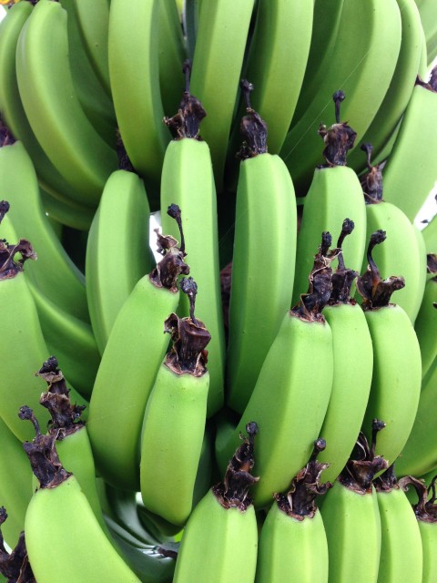 En bananen plantages...