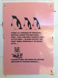 Church Raukokore, met wat heilige pinguins!
