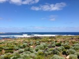 Surfing Margaret River Coast