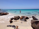Je ontkomt er niet aan. Walgelijk! @ cape naturaliste