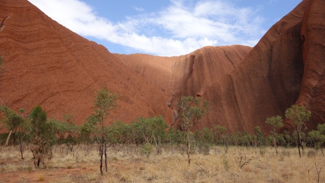 Uluru, magisch gezicht schuin voor, met sporen van blauwe hagedissen en aangeschoten emu's