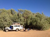 Bush camping to the max @ coward springs