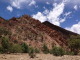 Brachina Gorge Geological Trail, wat een feestje!
