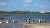 Coorong National Park, lake side camping :)